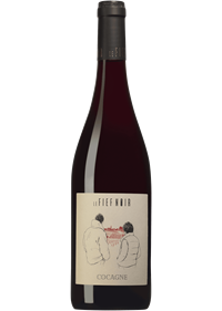 Le Fief Noir Cocagne Grolleau