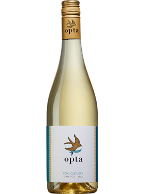 Opta Encruzado