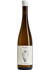 An Amphora Grüner Veltliner